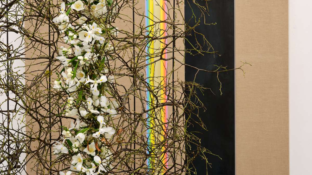 Blumen für die Kunst | Aargauer Kunsthaus