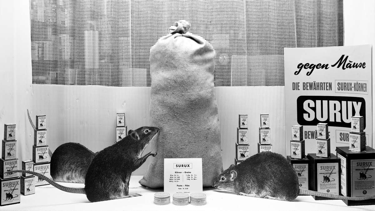 Die Maus | Museum Appenzell