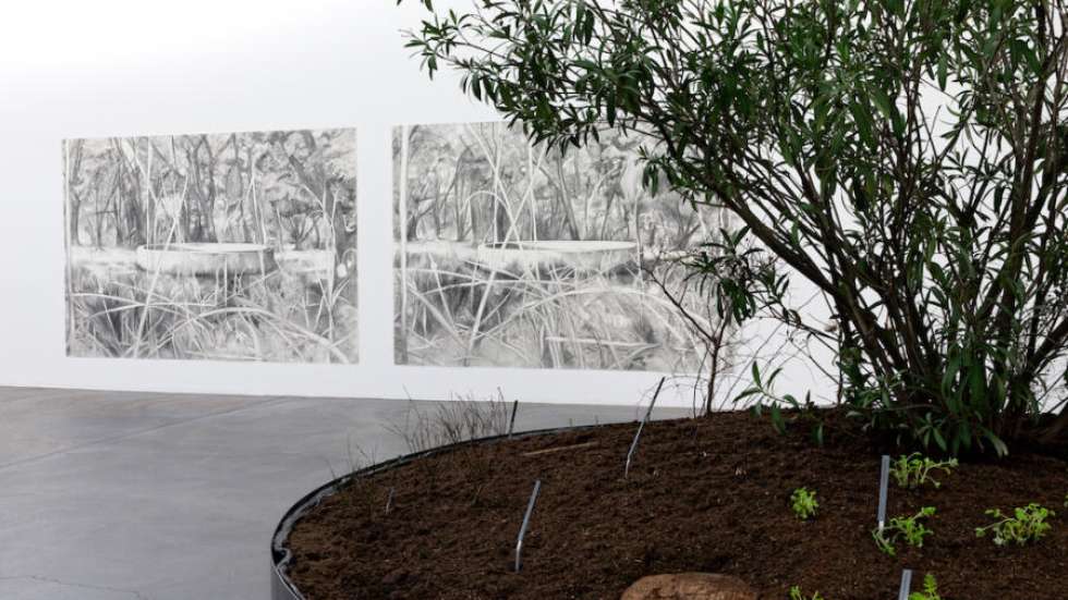 Marlene McCarty, Into the Weeds, 2020, Ausstellungsansicht Kunsthaus Baselland 2020.