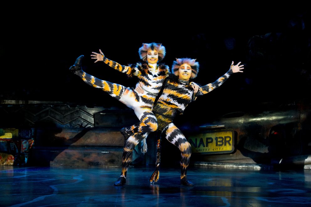 Theater 11 - Cats