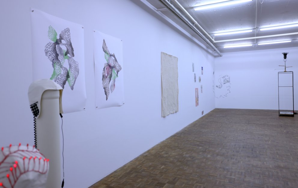 «Radikal» Linie als Stimme – B74 Kunstraum Luzern