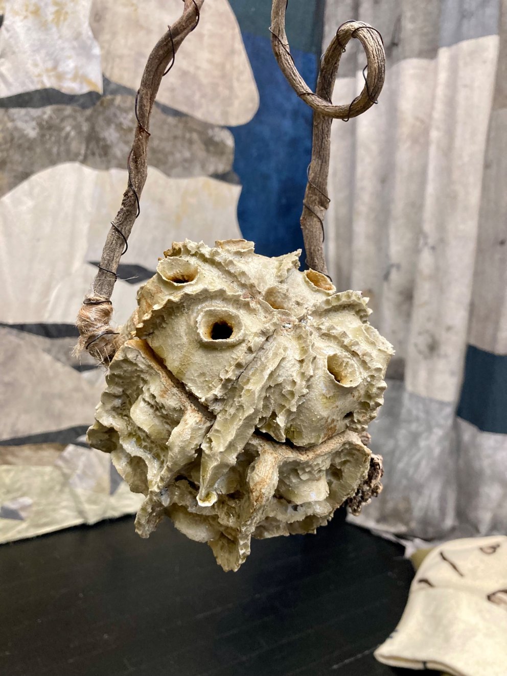 Karola Kauffmann, Cocons, 2021
Foto: Ruedi Suter