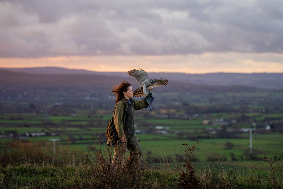 H IS FOR HAWK | Regie: Philippa Lowthorpe