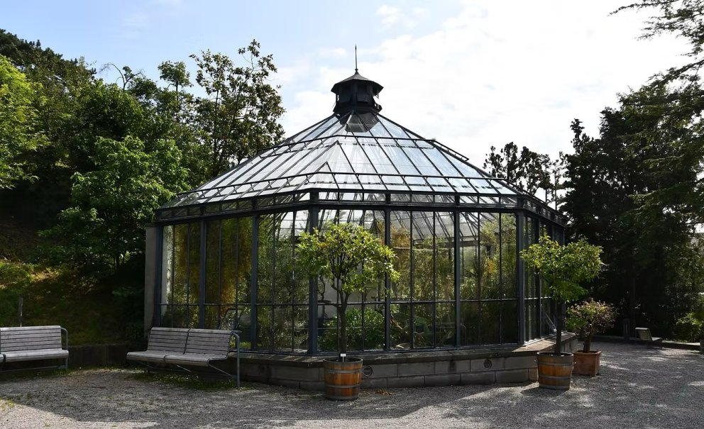 Botanical Memories: On Healing And Care | WE ARE AIA