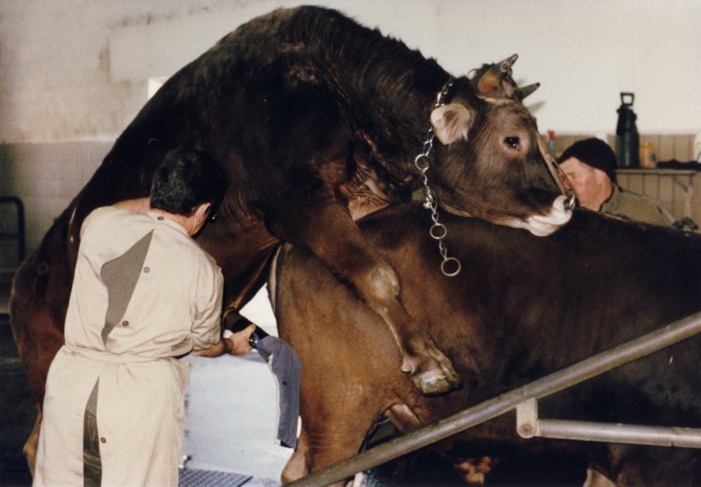 BAUERNKRIEG | Regie: Erich Langjahr