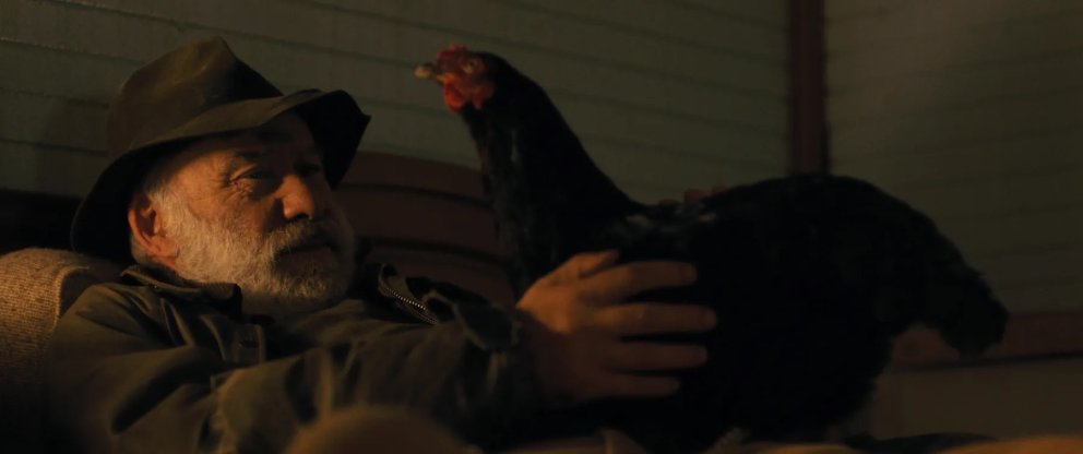 HEN von György Pálfi