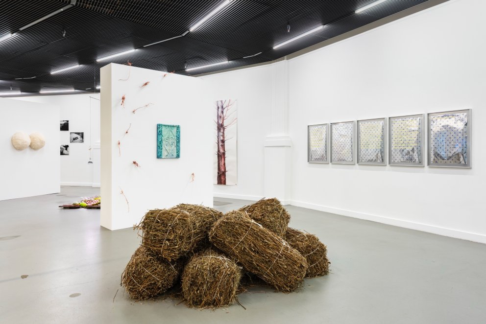 CROSSROAD – HOME IN MOTION | Gruppenausstellung in der Kunsthalle Luzern | «Heu» (2024) von Celia und Nathalie Sidler (Ausstellungsansicht)