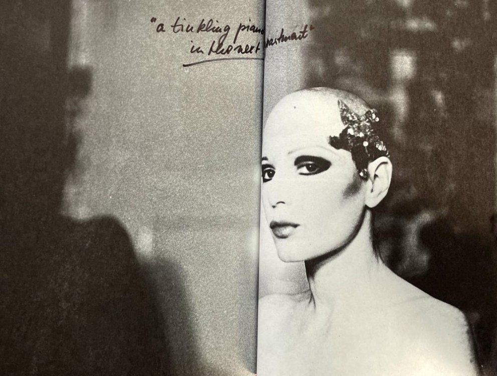 Ikonen der Selbstinszenierung