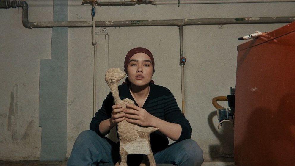 A FOX UNDER A PINK MOON | Regie: Mehrdad Oskouei, Soraya Akhlaghi 