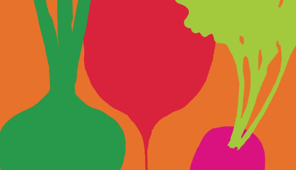 Selbstgezogenes Gemüse ist immer das schönste Gemüse!