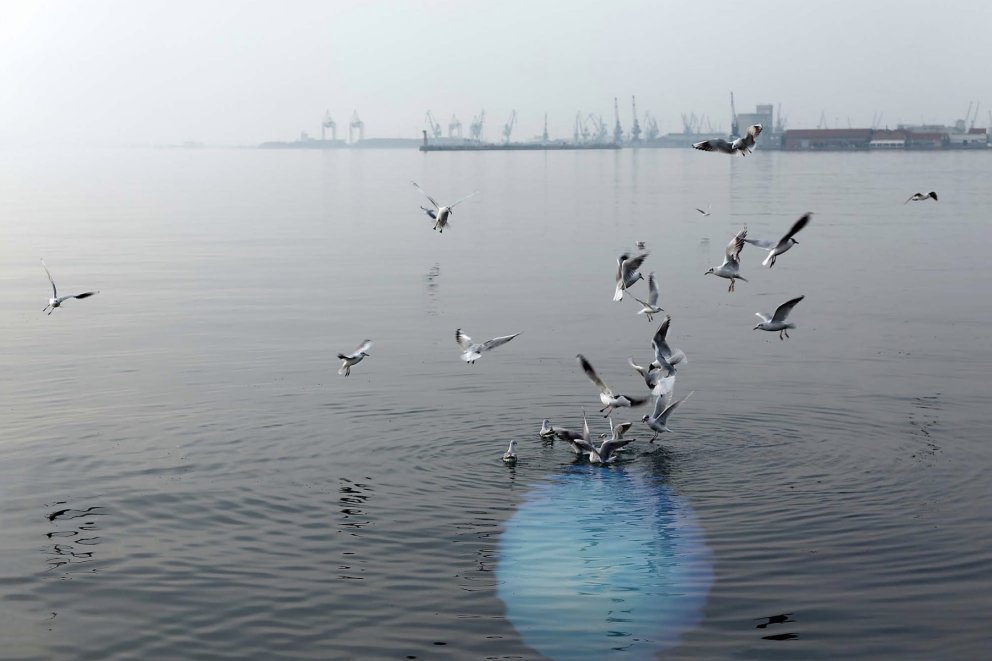 Eva Borner - Arbeiten