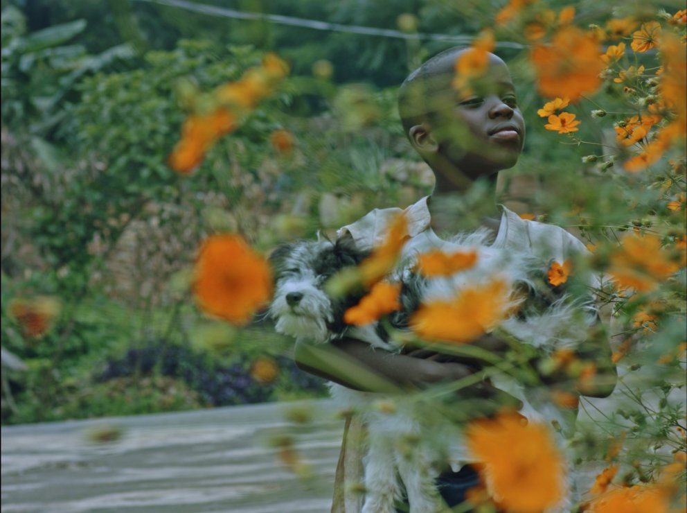 Black Movie ©MiguelBueno