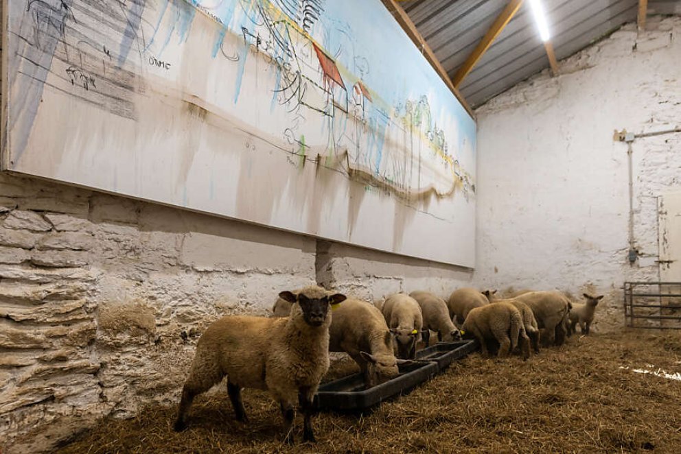 Fabrice Hyber – Homme de Terre | Kunstmuseum Thurgau | 29. März bis 30. August 2026