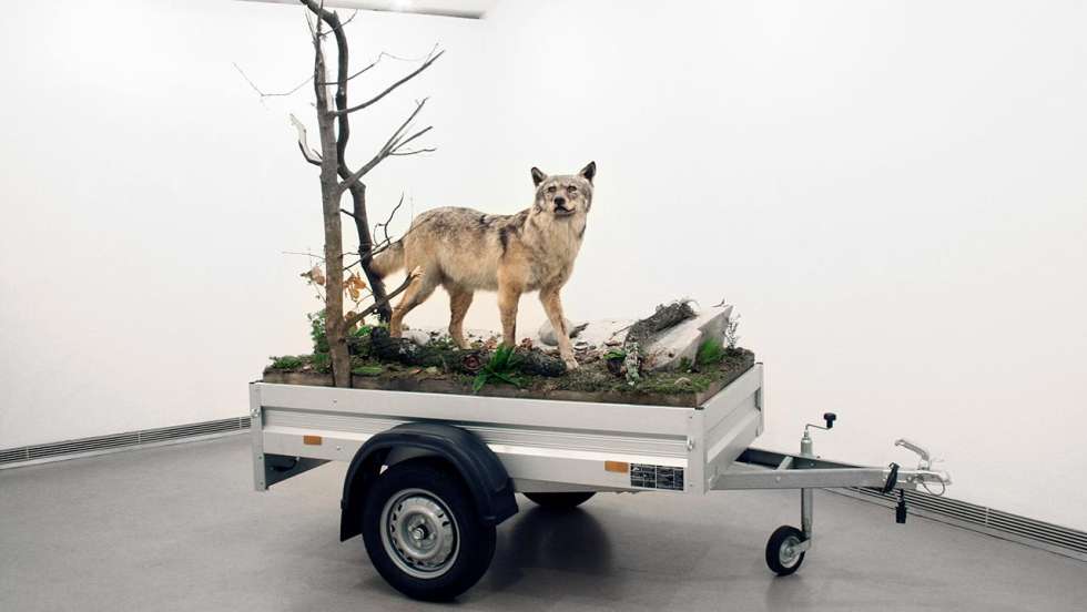 Mark Dion: «Mobile Wilderness Unit», 2006
