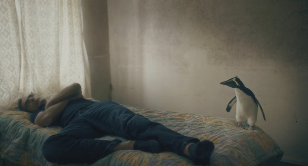 TRISTAN FOREVER | Regie: Tobias Nölle 