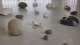 Lou Chavepayre, cosmo, 2021, Installation mit integriertem Lautsprecher, diverse Materialien