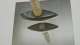 Ausstellungsansicht Mo Diener – Hologramm | Rehmann-Museum &copy; arttv.ch