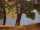 Simon Denis, Bäume vor einem Tal, o. J., Öl auf Leinwand, 68.8 x 91.1 cm, Fondation Custodia, Paris