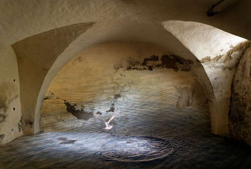 01_evaborner_zwischenderstille2024.jpg 01_evaborner_zwischenderstille2024.jpg