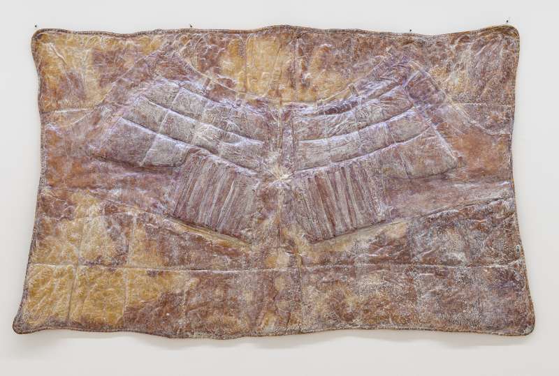 05_traeumende_dinge_heidi_bucher.jpg 05_traeumende_dinge_heidi_bucher.jpg