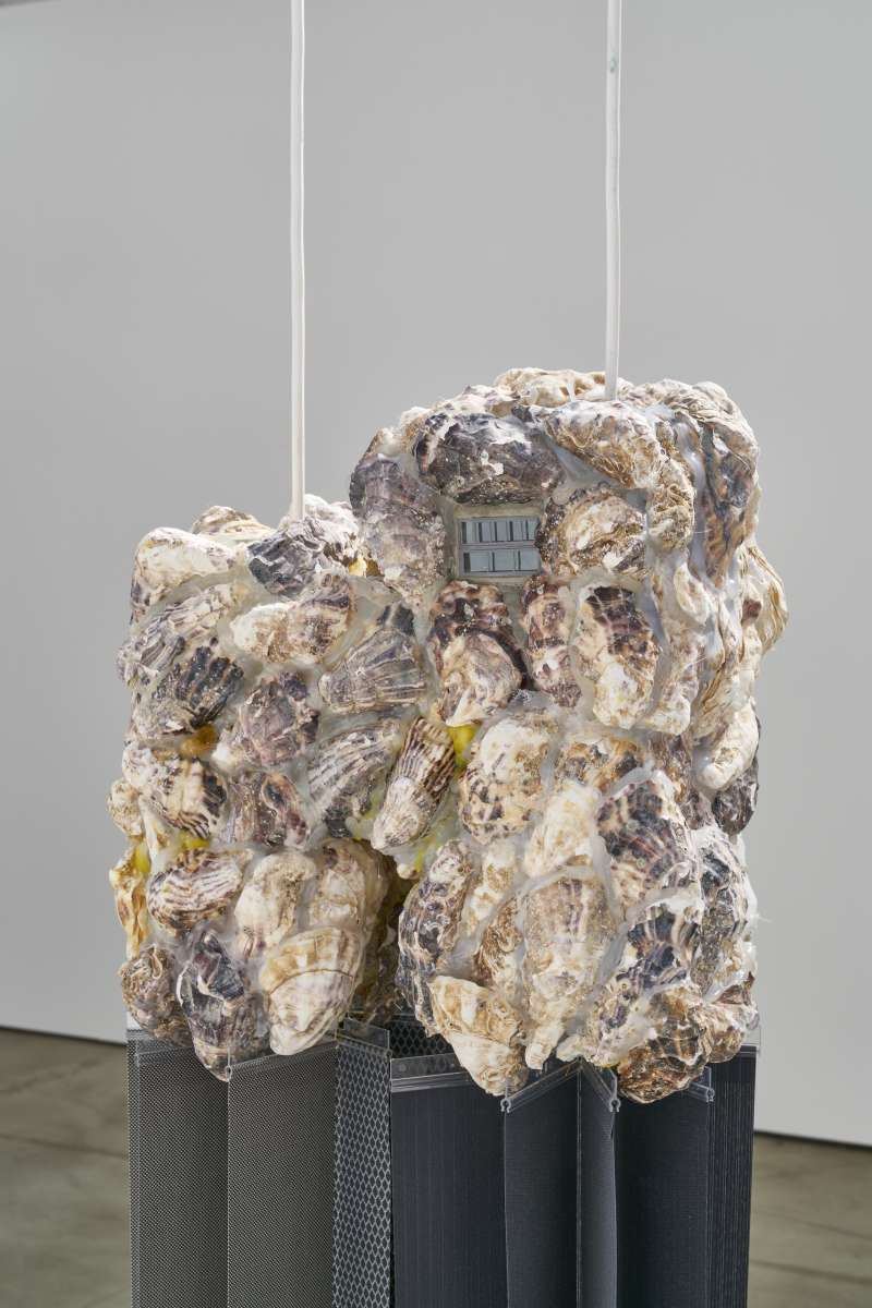 agataingarden_bertholdpott_img_2270.jpeg agataingarden_bertholdpott_img_2270.jpeg