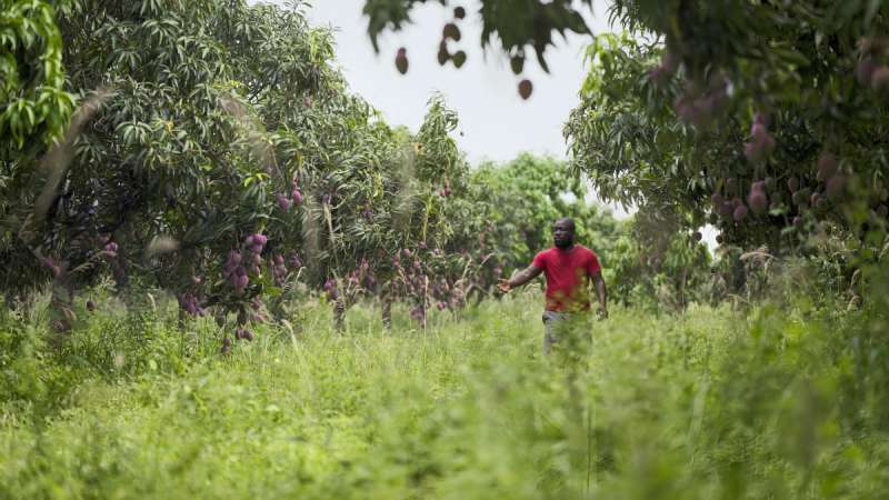 bild_14_8.jpg bild_14_8.jpg