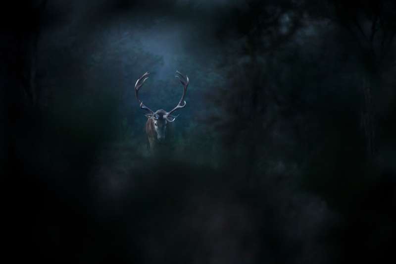 bild_19_8.jpg bild_19_8.jpg