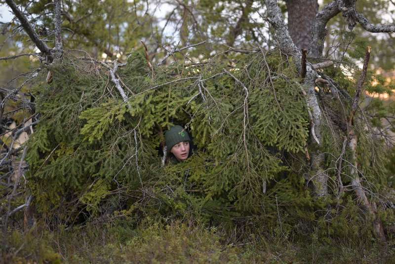 bild_21_8.jpg bild_21_8.jpg