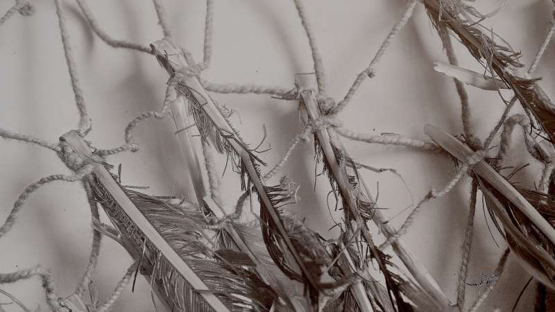 schoepferinnen_2-13-1.jpg schoepferinnen_2-13-1.jpg