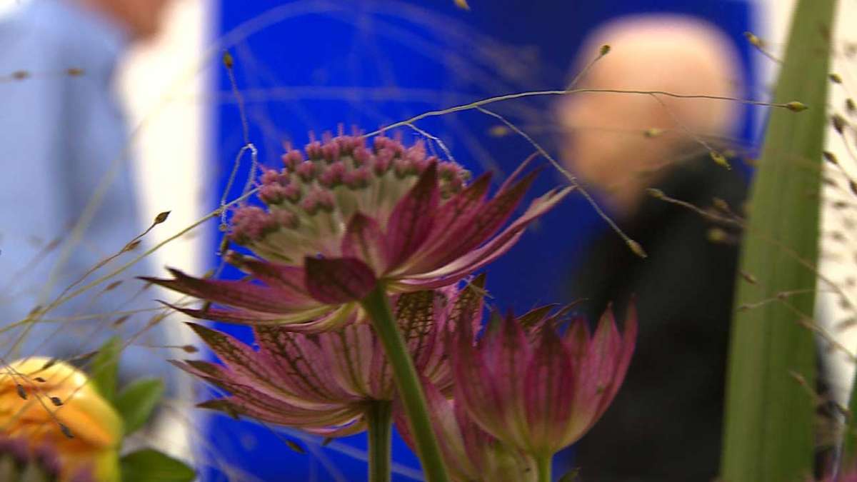 Thumbnail for CH-Kunstverein | Portrait Kunstverein Frauenfeld